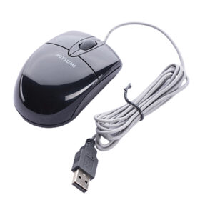 Mouse Mitsumi S6603 1