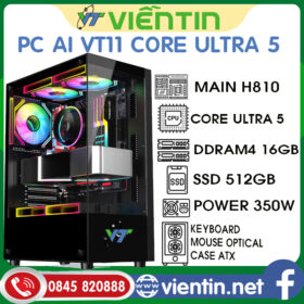 Casevt11